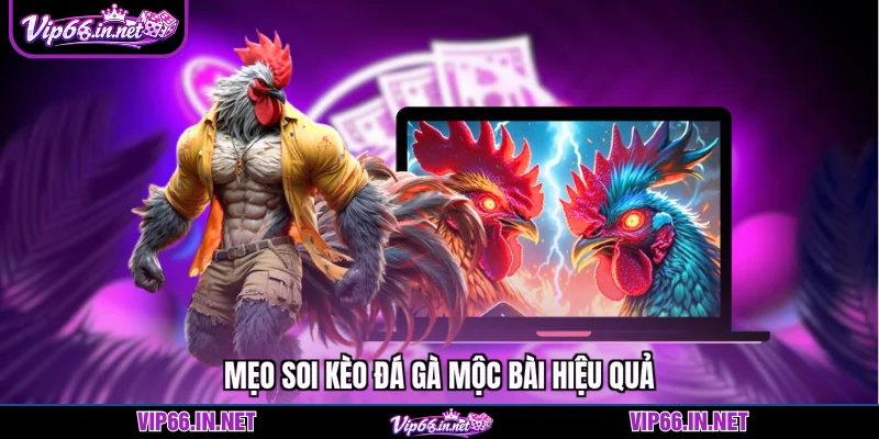 Mẹo soi kèo đá gà mộc bài hiệu quả